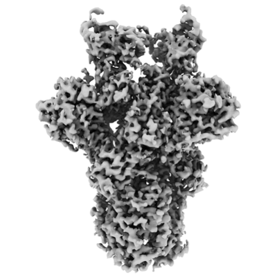 thumbnail of cryoEM structure EMD-0401