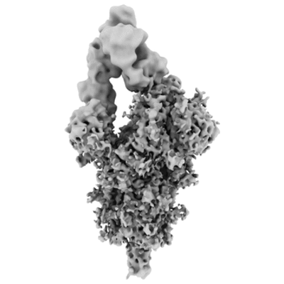 thumbnail of cryoEM structure EMD-0403