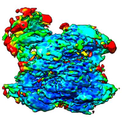 Cryo-EM structures show the mechanistic basis of pan-peptidase inhibition  by human α2-macroglobulin