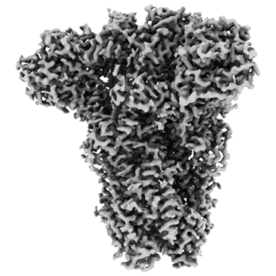 thumbnail of cryoEM structure EMD-20544