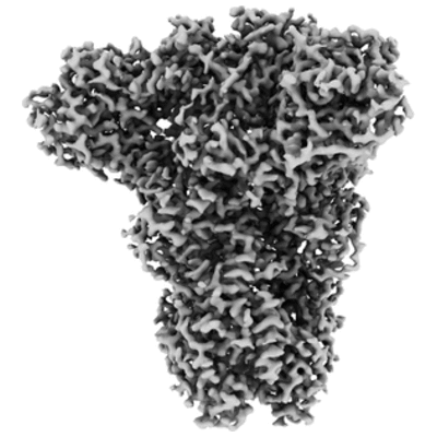 thumbnail of cryoEM structure EMD-20545