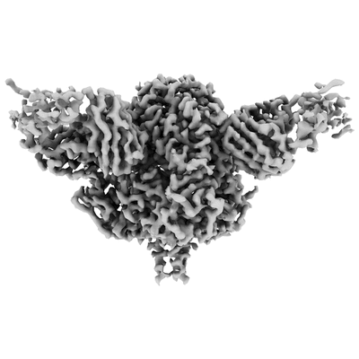 thumbnail of cryoEM structure EMD-20584