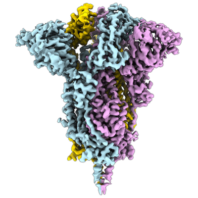 thumbnail of cryoEM structure EMD-21452