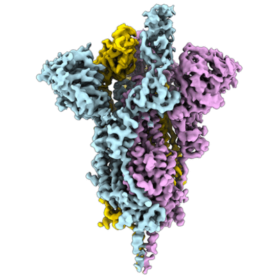 thumbnail of cryoEM structure EMD-21457