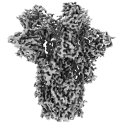 thumbnail of cryoEM structure EMD-21864