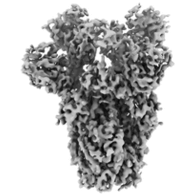 thumbnail of cryoEM structure EMD-21865