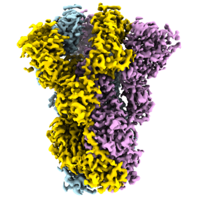 thumbnail of cryoEM structure EMD-22083