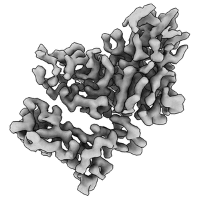 thumbnail of cryoEM structure EMD-22491