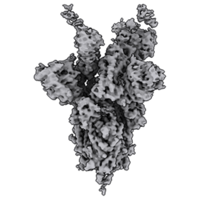 thumbnail of cryoEM structure EMD-22492