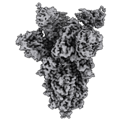 thumbnail of cryoEM structure EMD-22494