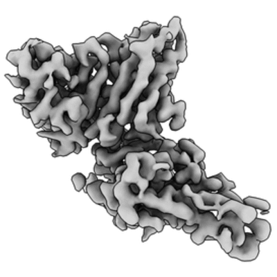 thumbnail of cryoEM structure EMD-22497