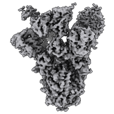 thumbnail of cryoEM structure EMD-22506