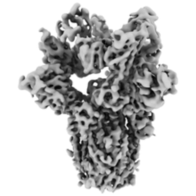 thumbnail of cryoEM structure EMD-22512