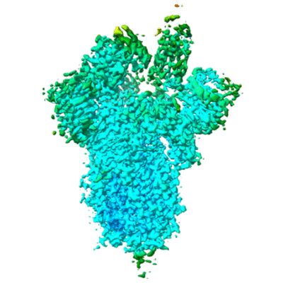 thumbnail of cryoEM structure EMD-22532