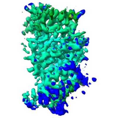 thumbnail of cryoEM structure EMD-22533