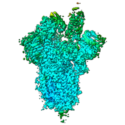 thumbnail of cryoEM structure EMD-22534