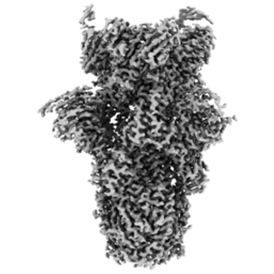 thumbnail of cryoEM structure EMD-22659