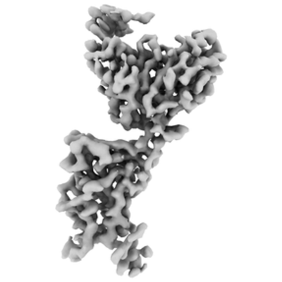 thumbnail of cryoEM structure EMD-22660