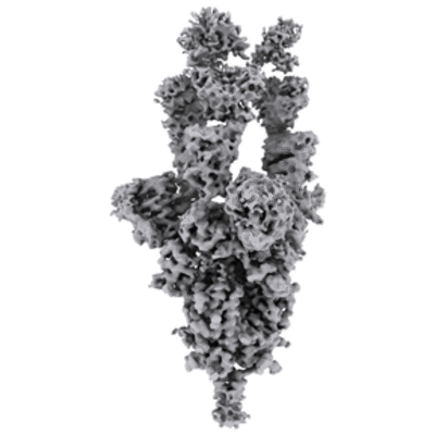 thumbnail of cryoEM structure EMD-22668