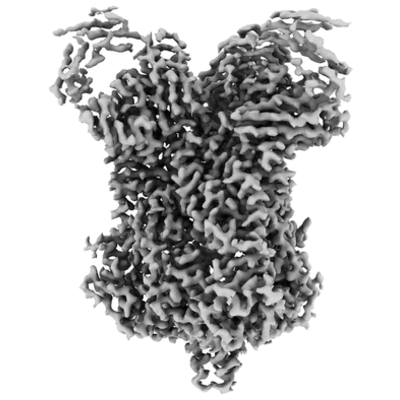 thumbnail of cryoEM structure EMD-22884