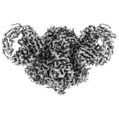 thumbnail of cryoEM structure EMD-22885