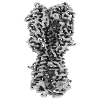 thumbnail of cryoEM structure EMD-22937