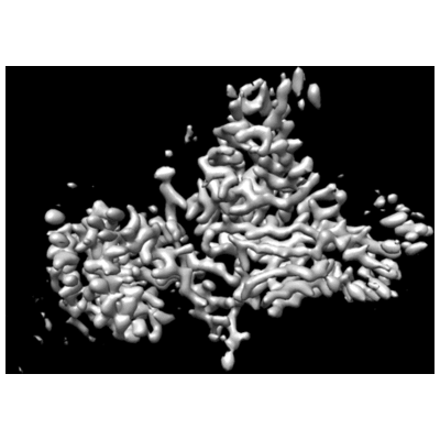 thumbnail of cryoEM structure EMD-23577