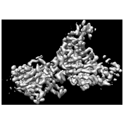 thumbnail of cryoEM structure EMD-23578