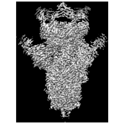 thumbnail of cryoEM structure EMD-23579