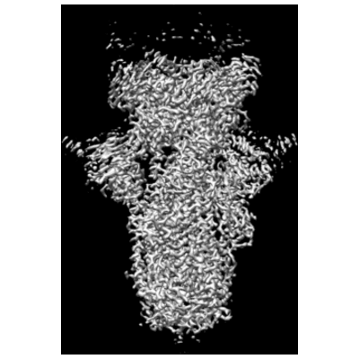 thumbnail of cryoEM structure EMD-23580