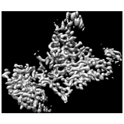 thumbnail of cryoEM structure EMD-23581