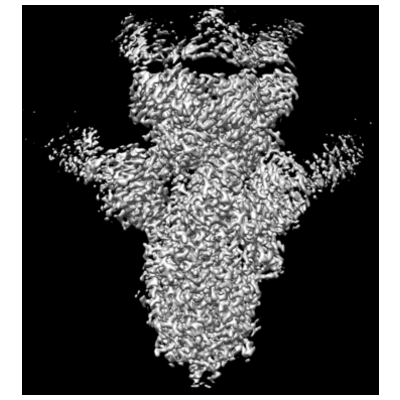 thumbnail of cryoEM structure EMD-23582