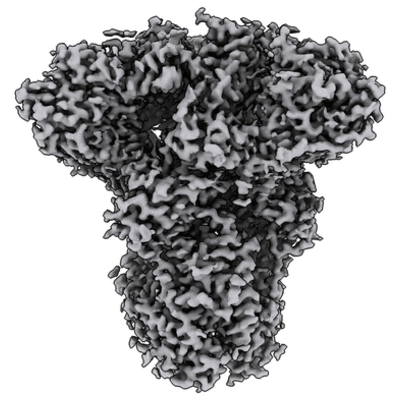 thumbnail of cryoEM structure EMD-23674