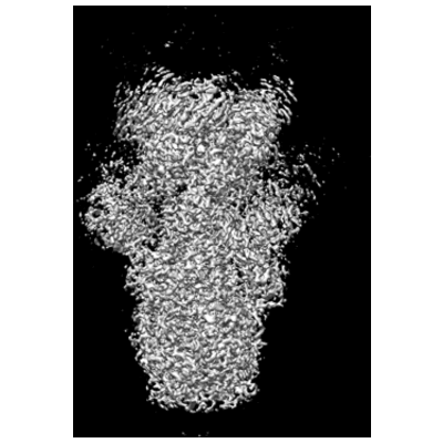 thumbnail of cryoEM structure EMD-24236