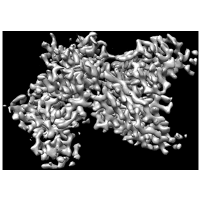 thumbnail of cryoEM structure EMD-24237