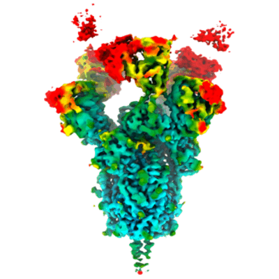 thumbnail of cryoEM structure EMD-24347