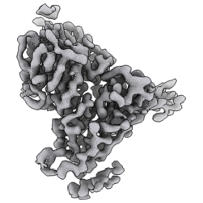 thumbnail of cryoEM structure EMD-24365