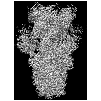 thumbnail of cryoEM structure EMD-25263