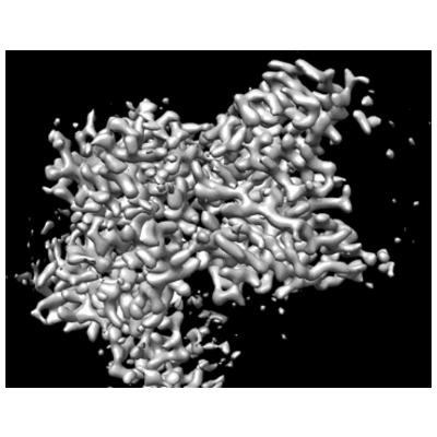 thumbnail of cryoEM structure EMD-25264