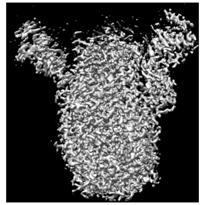 thumbnail of cryoEM structure EMD-25265