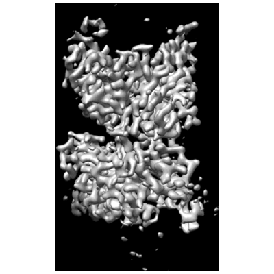 thumbnail of cryoEM structure EMD-25266