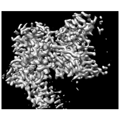 thumbnail of cryoEM structure EMD-25267