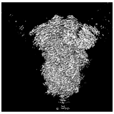 thumbnail of cryoEM structure EMD-25268