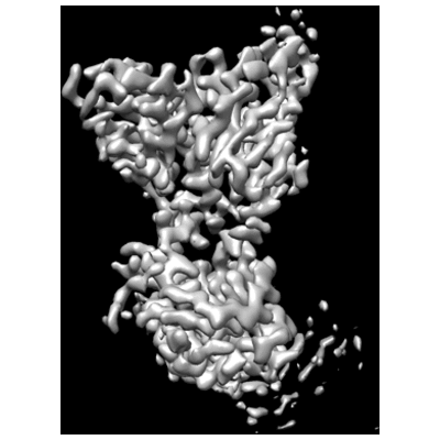 thumbnail of cryoEM structure EMD-25269