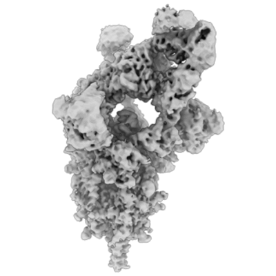 thumbnail of cryoEM structure EMD-25784