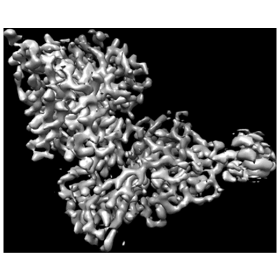 thumbnail of cryoEM structure EMD-25990