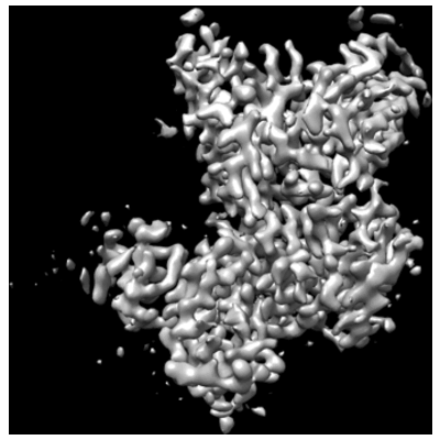 thumbnail of cryoEM structure EMD-25991