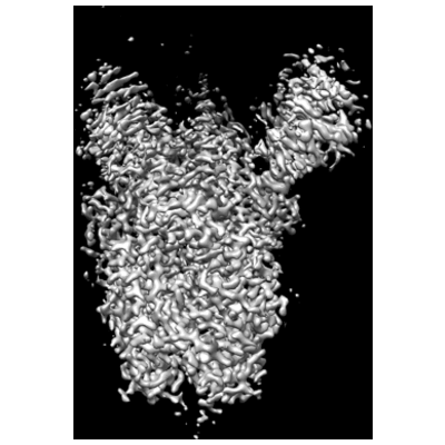 thumbnail of cryoEM structure EMD-25992