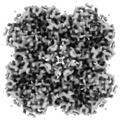 thumbnail of cryoEM structure EMD-26318