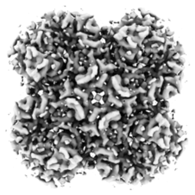 thumbnail of cryoEM structure EMD-26319